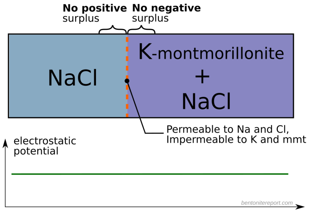 NaCl + K-montmorillonite with interface only permeable for Na and Cl